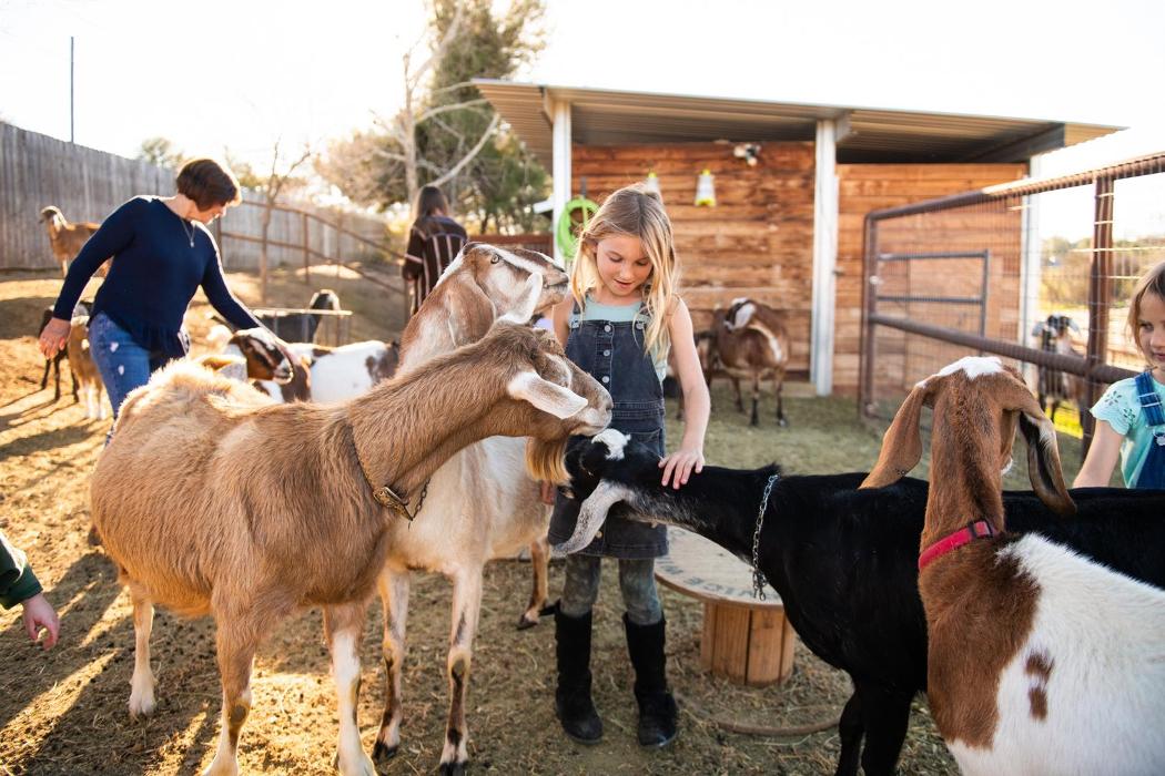 The Shady Oaks Farm - Atascadero, CA