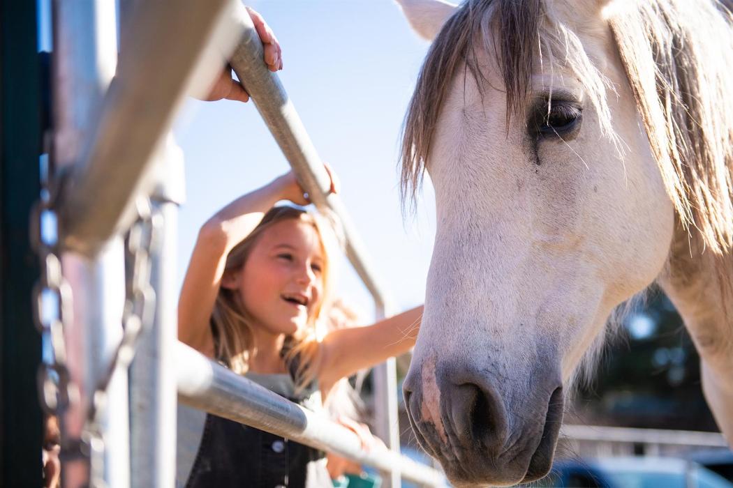 The Shady Oaks Farm - Atascadero, CA