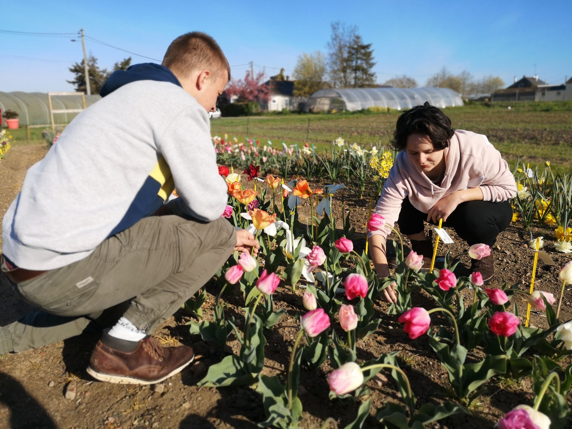 galerie image galerie image