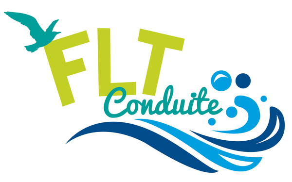 Flt Conduite auto école