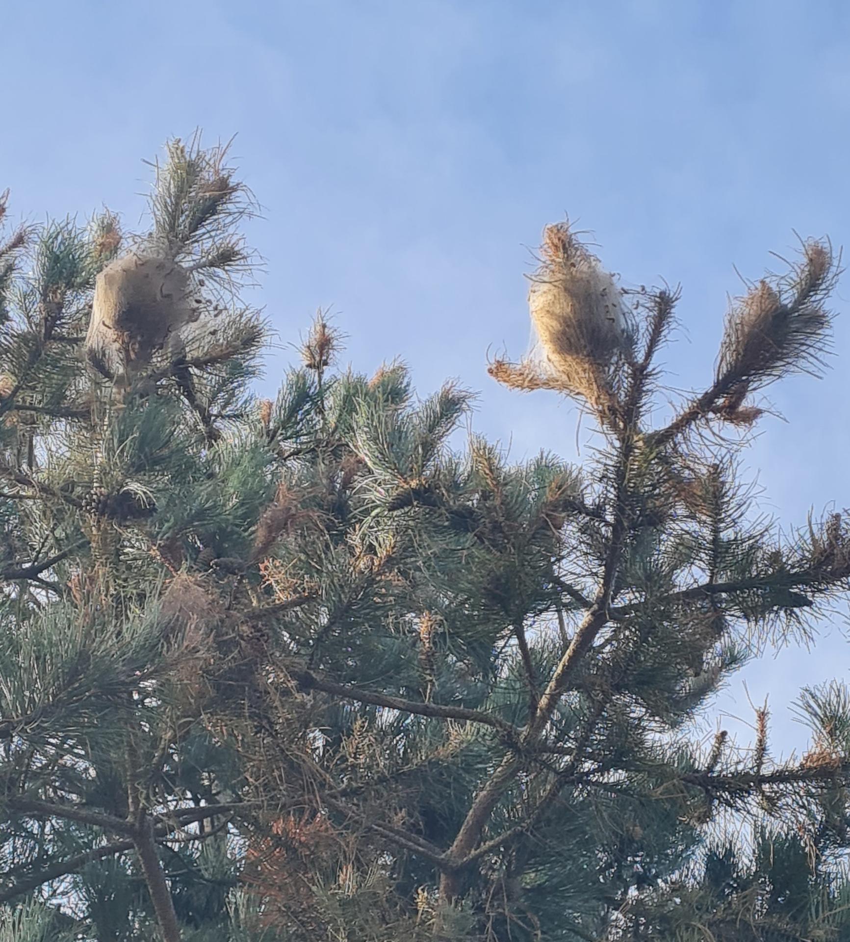 Lefevre Sébastien E.I