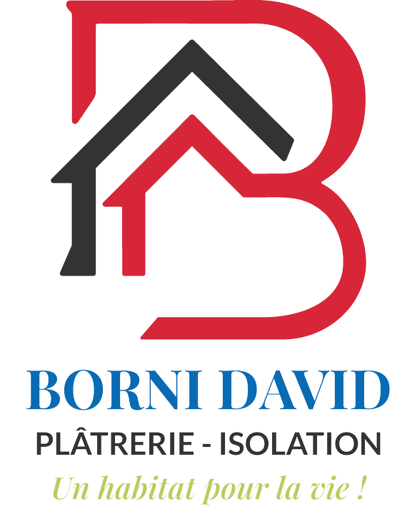 Borni David EURL Expert