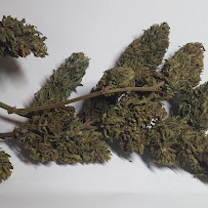 Dovetail Ridge Farm - Lindside, WV