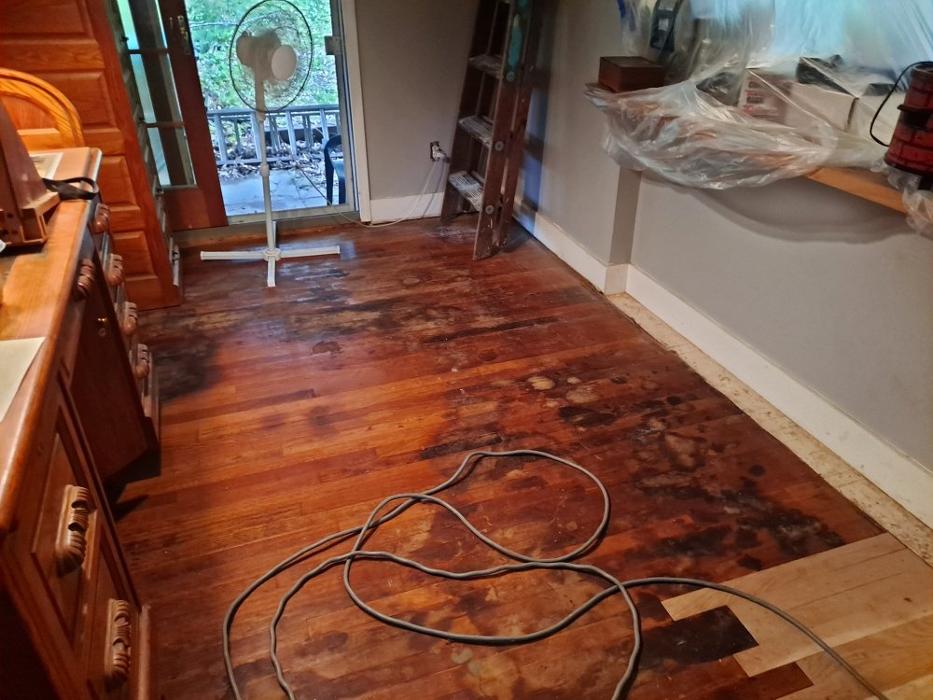 Frank Pelone Painting and Handyman Services - Pittsburgh, PA