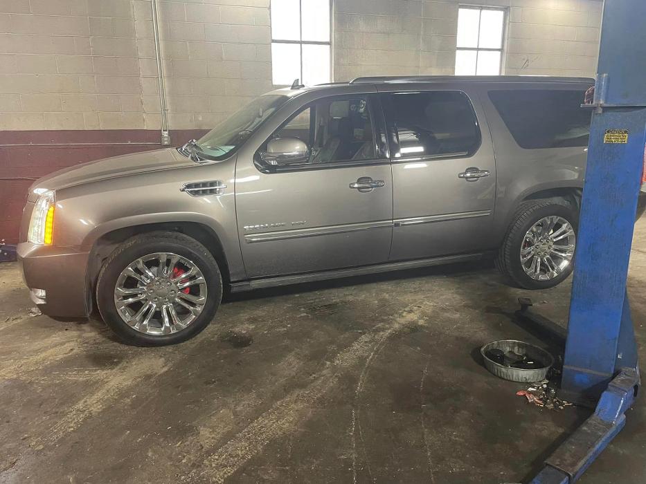 Peche Automotive - Kernersville, NC