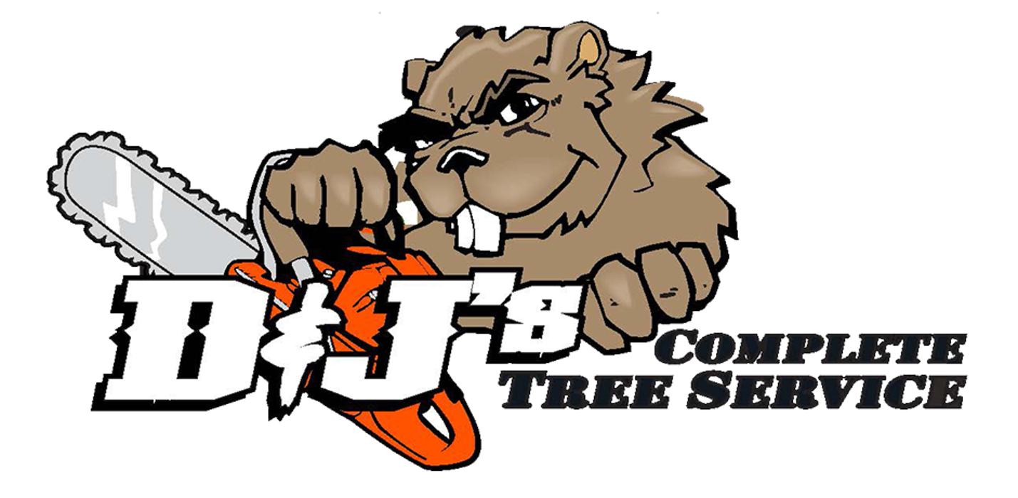 D&J's Complete Tree Service-Ankeny - Ankeny, IA