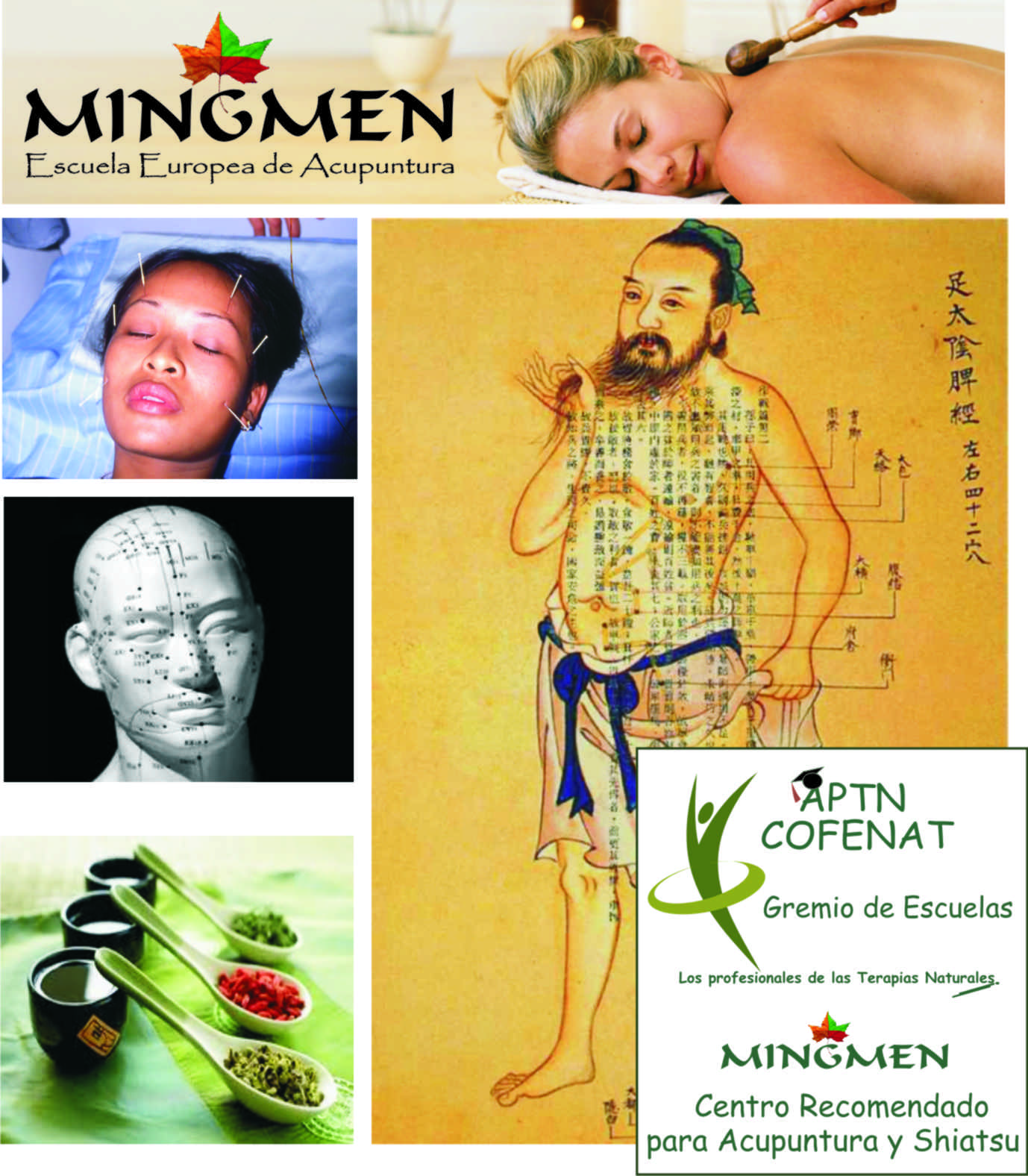 Galería en miniatura