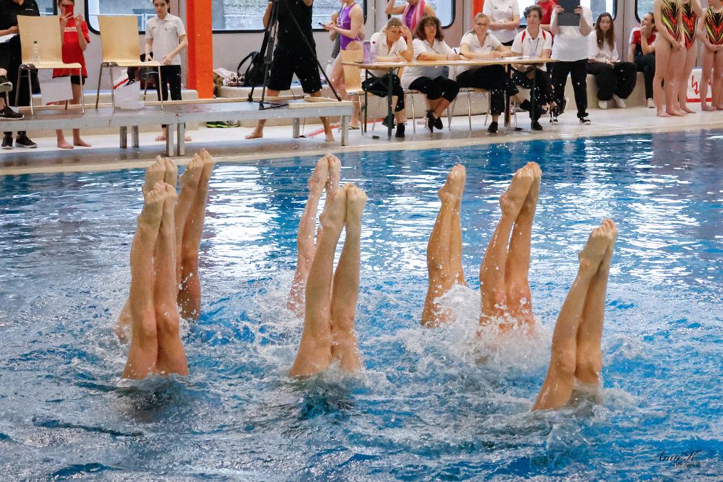 Dauphins Synchro Vernier, Rte du Bois-des-Frères in Vernier