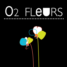 Clement Services fleuriste