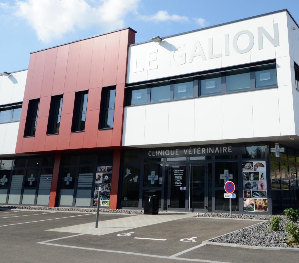 galerie image