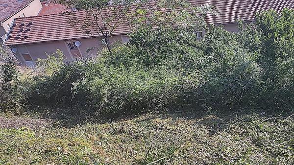 SARL Beton-veyrier Expert