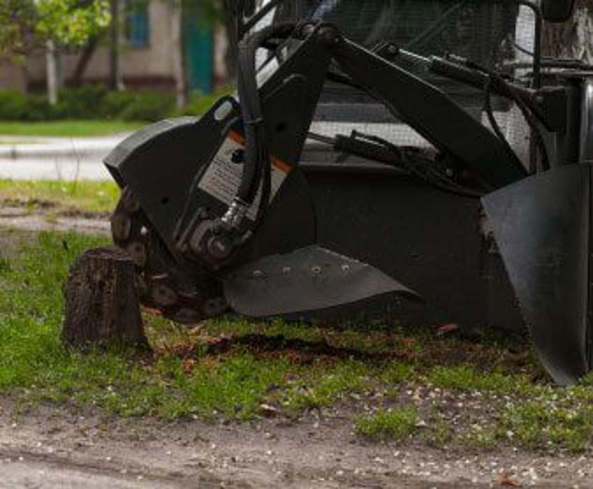 Forret Tree Solutions - Fort Myers, FL