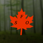 Société Forestière de l'Orient Expert