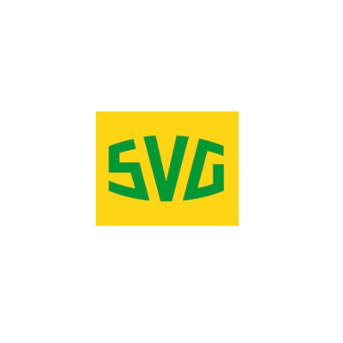 Straßenverkehrsgenossenschaft SVG Pfalz eG