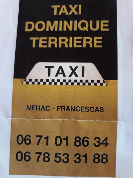 Taxi Terriere taxi