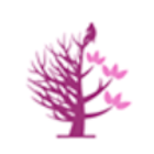 Morel Frédéric Expert