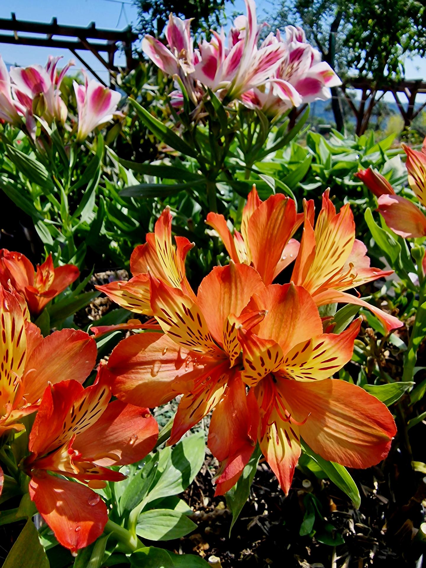 galerie image galerie image