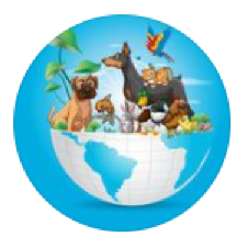 Le Monde Animal animalerie