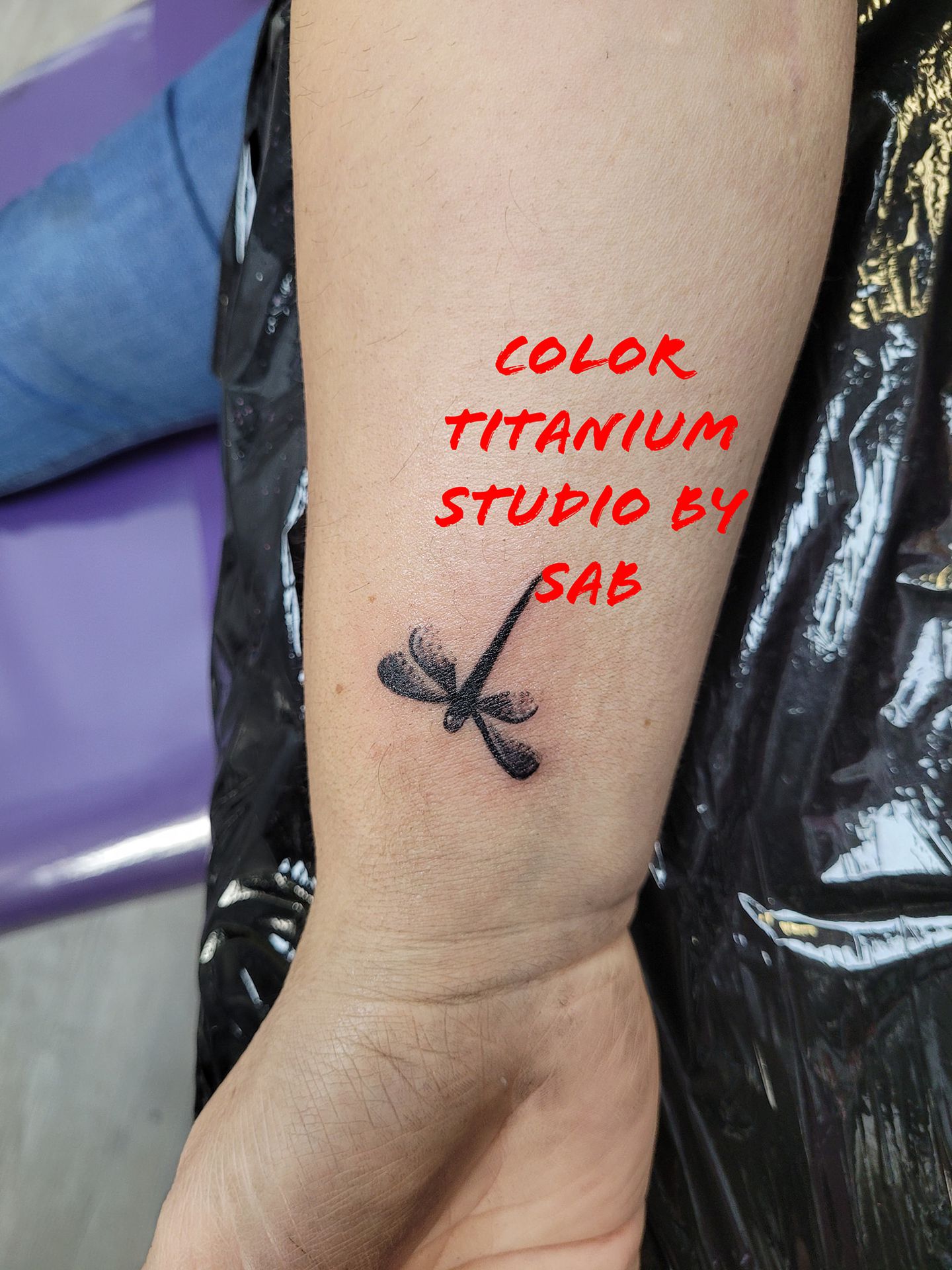 galerie image