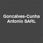 Goncalves Cunha Antonio Expert