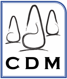 Cdm entreprise de travaux publics