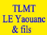 Trégor Location Matériel et Terrassement - TLMT réparation et restauration (objets divers)