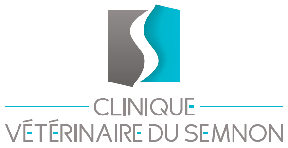 SELARL Vétérinaire du Semnon clinique vétérinaire