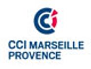 CCI Aix-Marseille-Provence conseil départemental