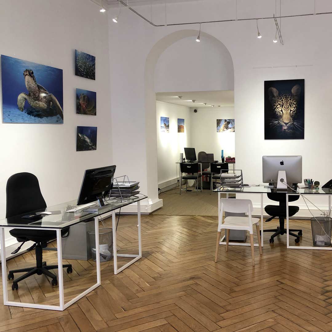 galerie image