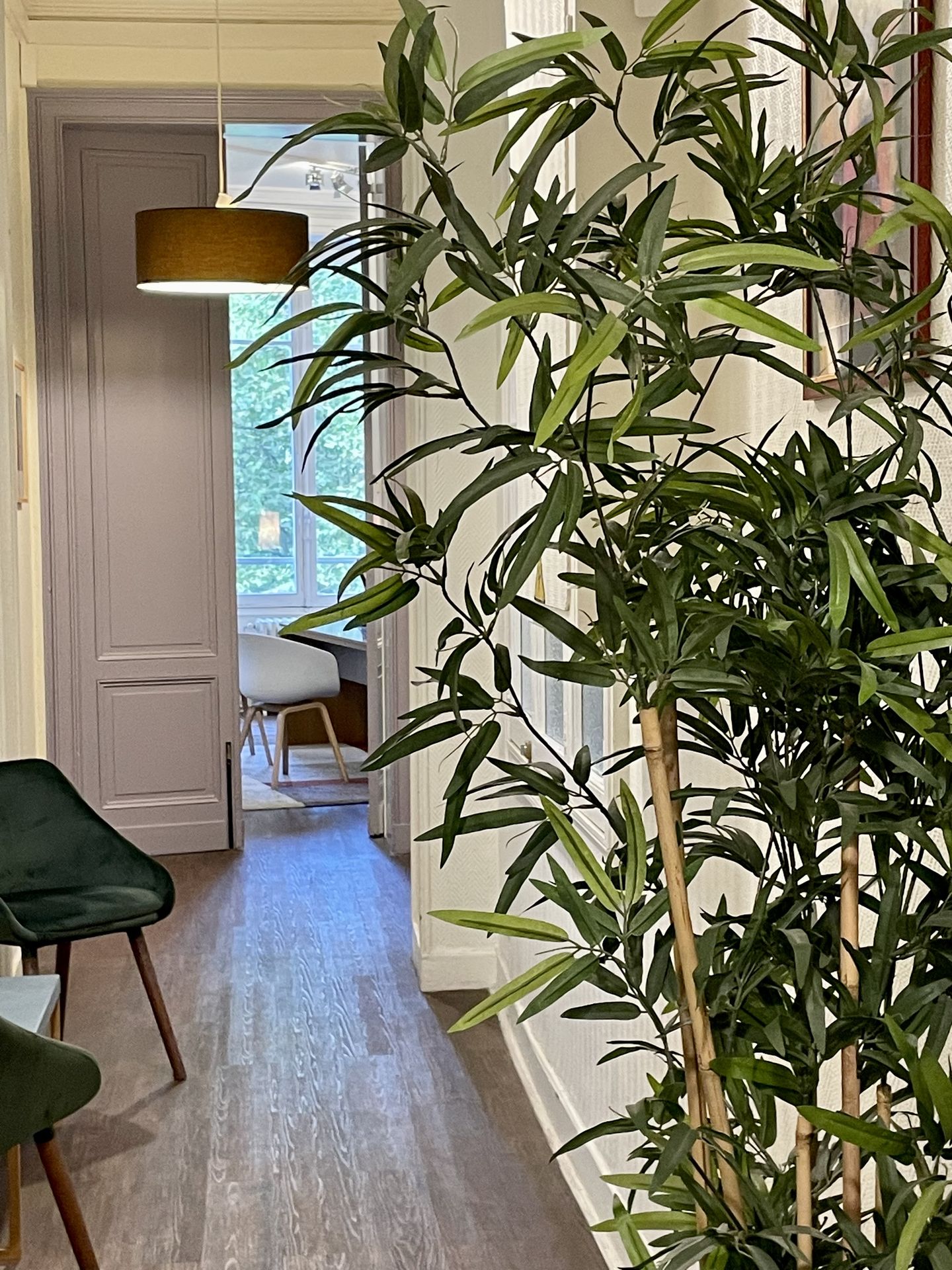 galerie image