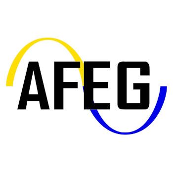 AFEG Expert