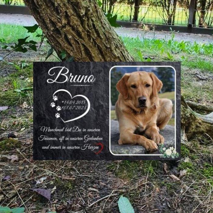 Regenbogenspuren in Berlin