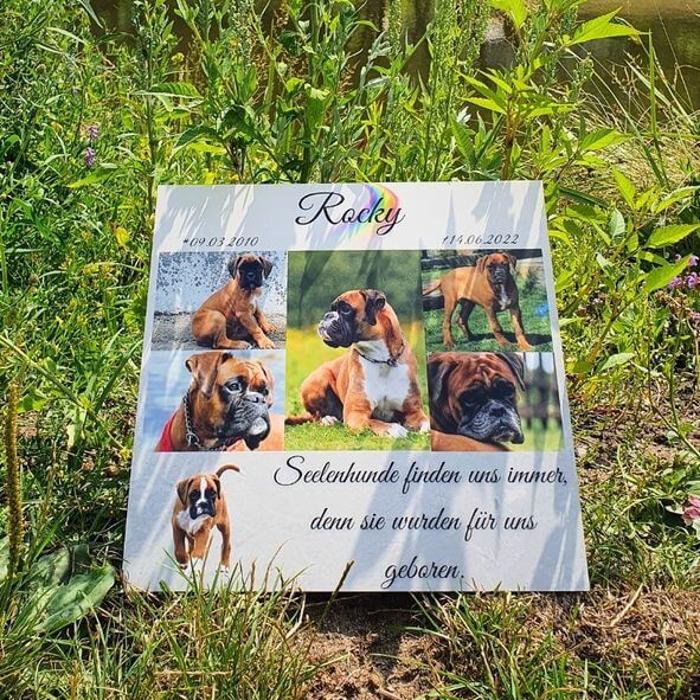 Regenbogenspuren in Berlin