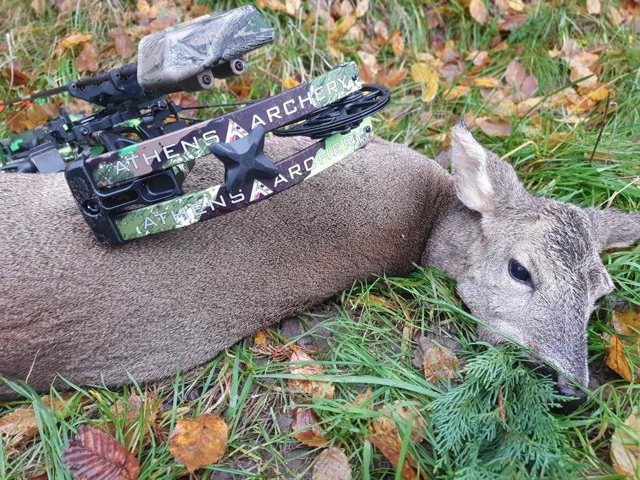 A.H.Bogensport, Wasserwerkstraße in Ansfelden