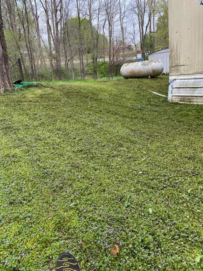 Poorboys Lawn Landscaping LLC - Saint Joseph, MO