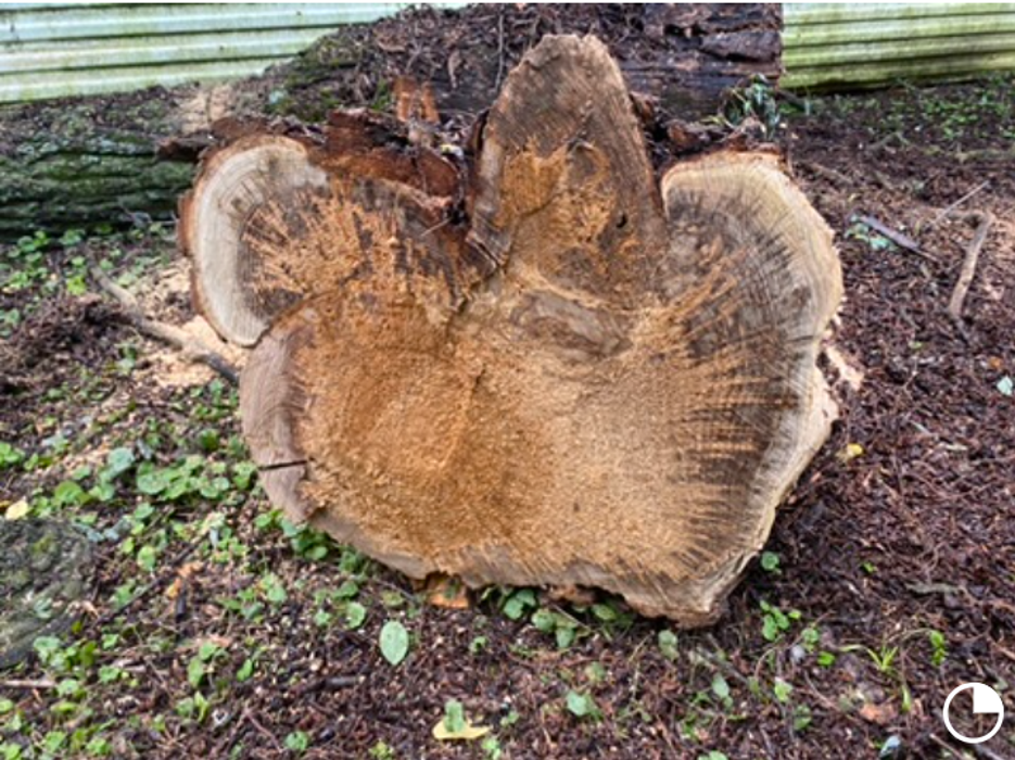 Poorboys Lawn Landscaping LLC - Saint Joseph, MO