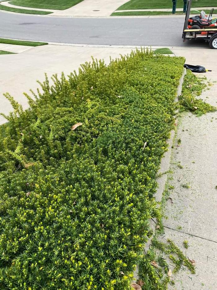 Poorboys Lawn Landscaping LLC - Saint Joseph, MO