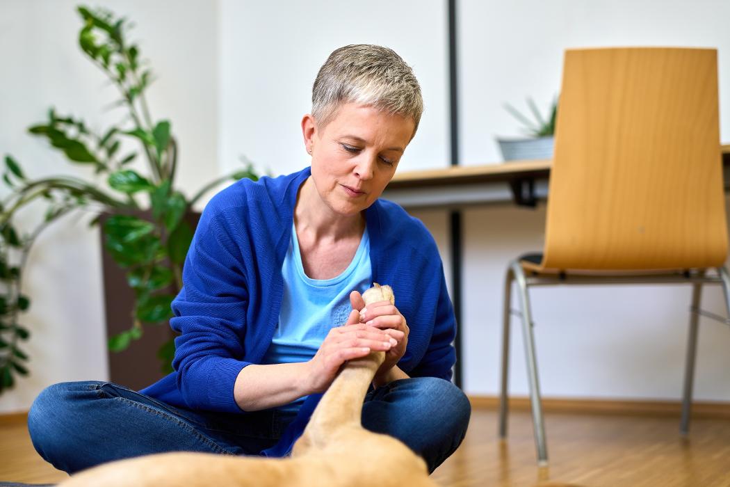 Soulway | Silvia Wendecker - Tierenergetik, Humanenergetik, Stefaniegasse in Kaltenleutgeben