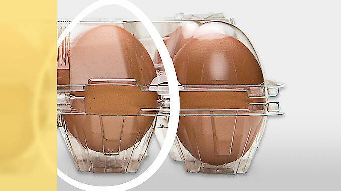 Ovotherm International, Ricoweg in Wiener Neudorf