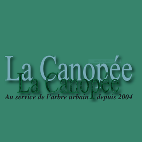La Canopée Expert