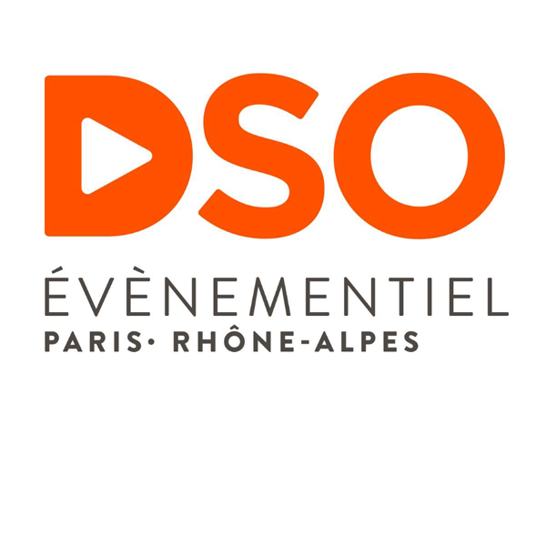 DELTA SERVICES ORGANISATION DSO