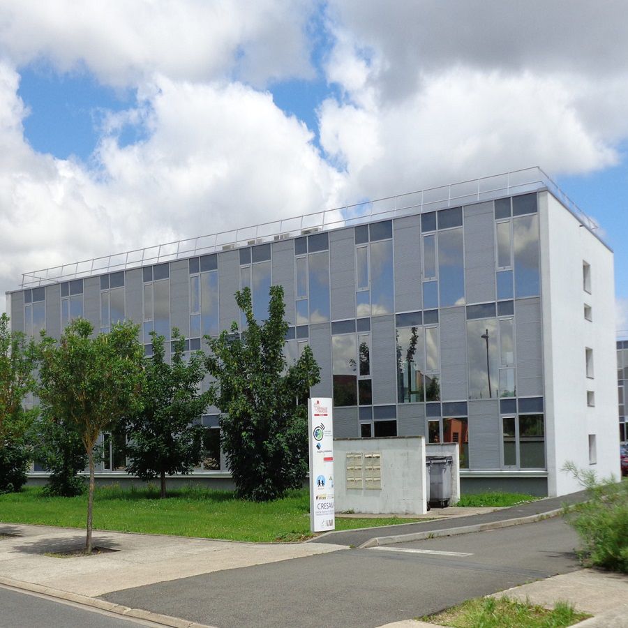 galerie image