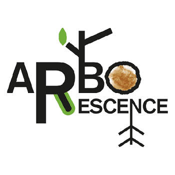 Arborescence paysagiste conseil
