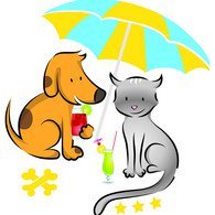 Pension Des Filloux chenil, pension pour chiens et chats