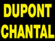 CHANTAL DUPONT ANTIQUITES friperie