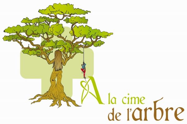 A LA CIME DE L'ARBRE Expert