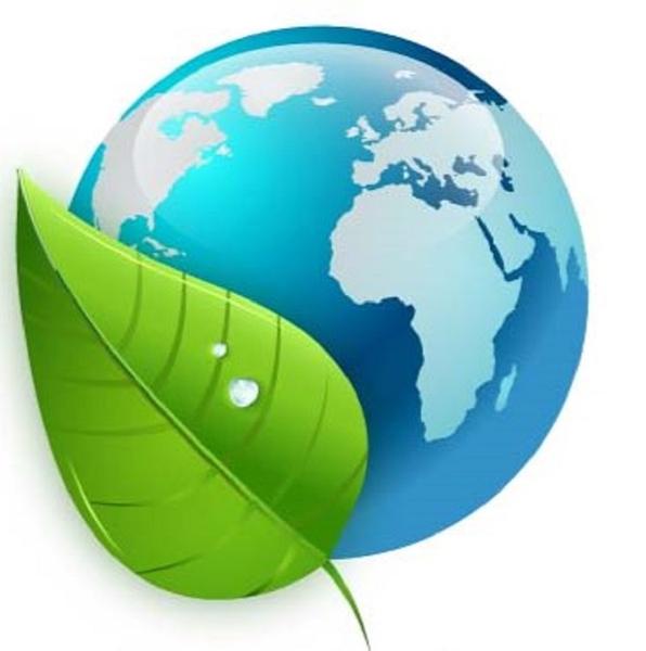 A F M Services - Eco Horizon Expert