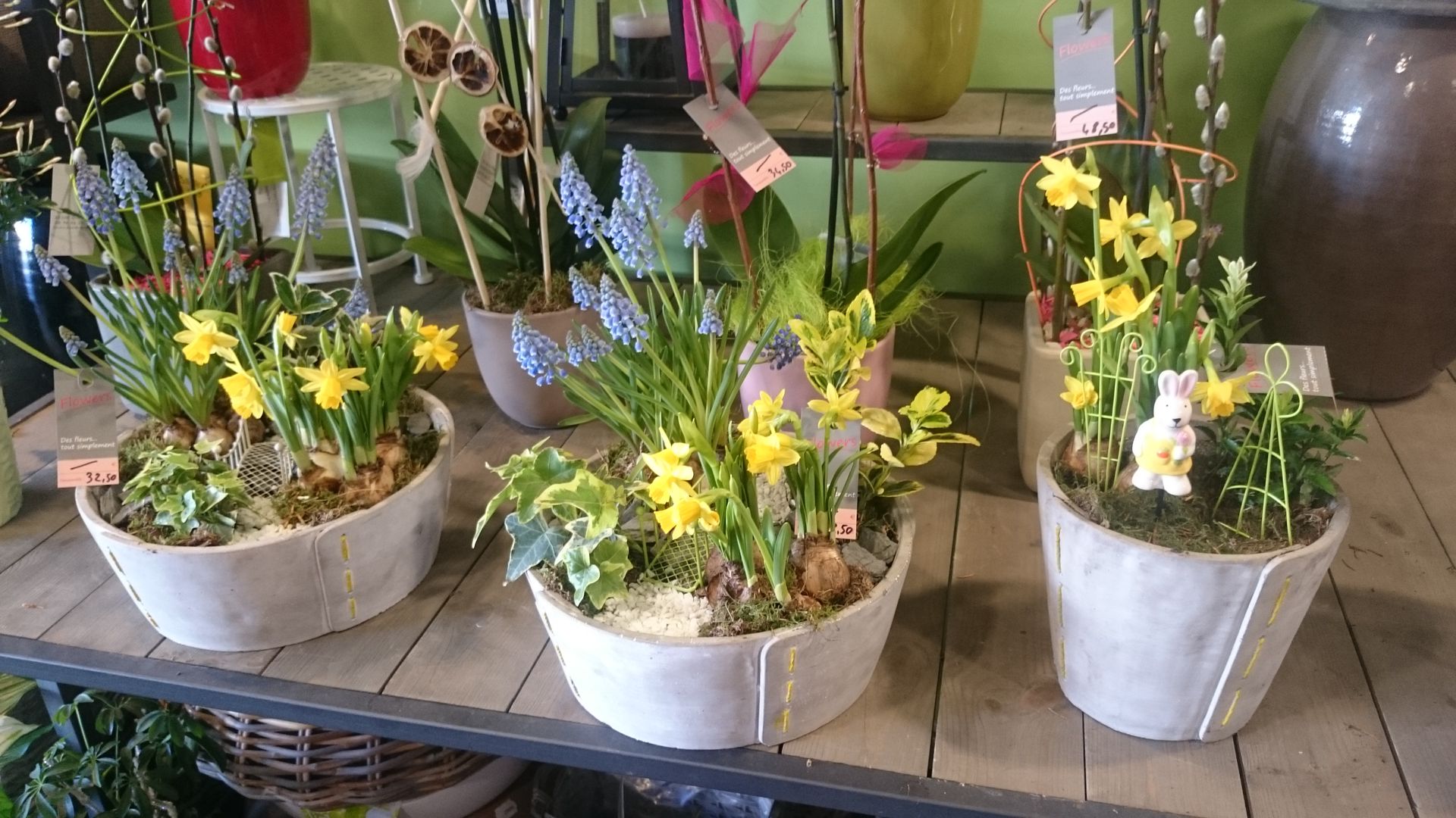 galerie image galerie image