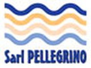 Pellegrino SARL Expert