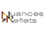 Nuances Reflets Societe Gilles Tintorini Expert